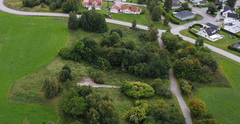 Ett flygfoto över ett flertal träd med en liten väg som leder fram till ett samhälle med några hus som syns i bild. 