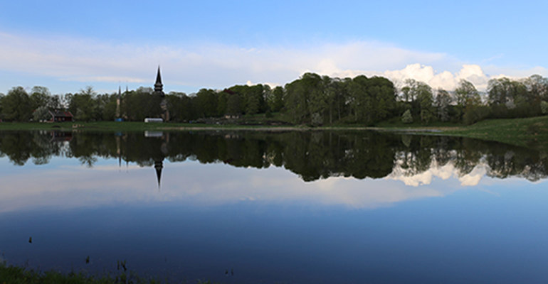 En sjö i förgrunden. Strandkant med gräs och träd längre bort. En skymt av Varnhems klosterkyrkas torn bakom träden. 