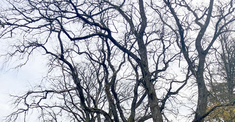 En grävskopa i en grop