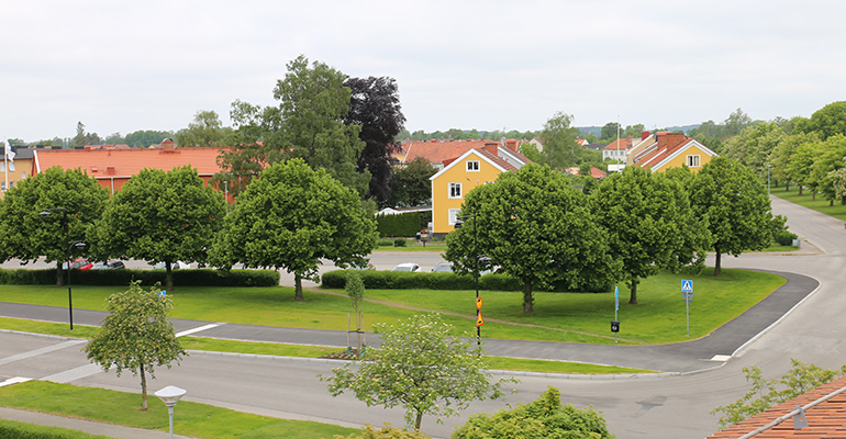 Vy mot en parkering omgärdad av träd.