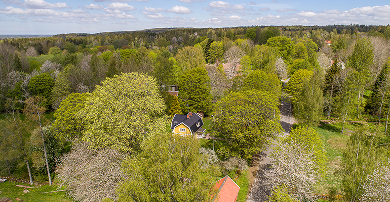 Drönarbild med ett hus på landet omgivet av blommande körsbärsträd.