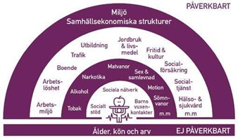 Diagram med exempel på vad som är påverkbart och inte påverkbart.