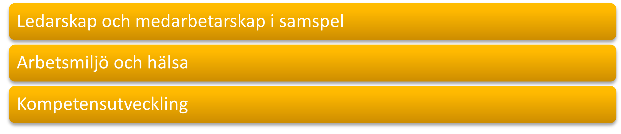 Tre fokusområden: ledarskap och medarbetarskap i samspel, arbetsmiljö och hälsa, kompetensutveckling.