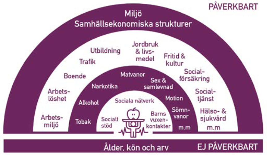 Bild med exempel på vad som är påverkbart och vad som inte är påverkbart