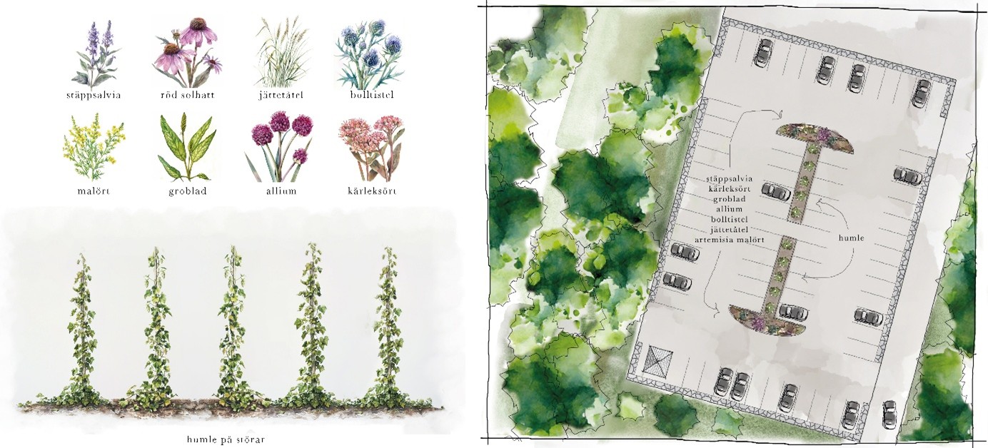 Parkering och växtslag